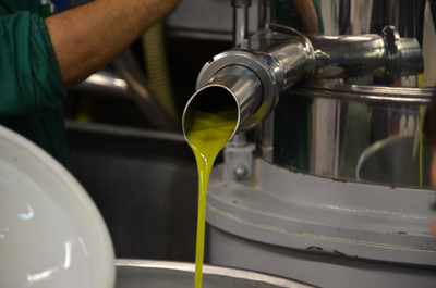 Cold-pressed olive oil