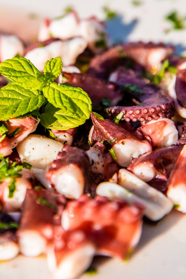 Great starter from Italy - octopus salad